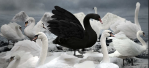 Read more about the article PETER OBI THE BLACK SWAN