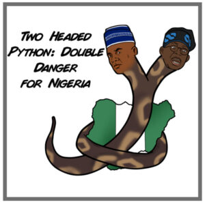 WHY WE DON’T ENDORSE TINUBU AND SHETTIMA: TO AVOID THE DANGERS OF A TWO-HEADED PYTHON 