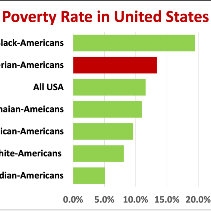 Portrait of Nigerian-Americans: Successes, Paradoxes and Delusions