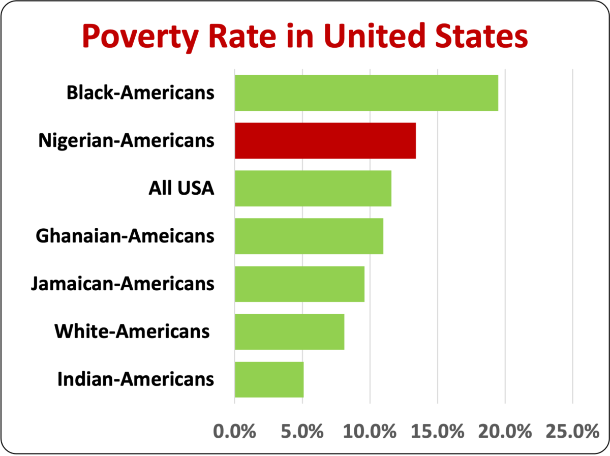 You are currently viewing Portrait of Nigerian-Americans: Successes, Paradoxes and Delusions