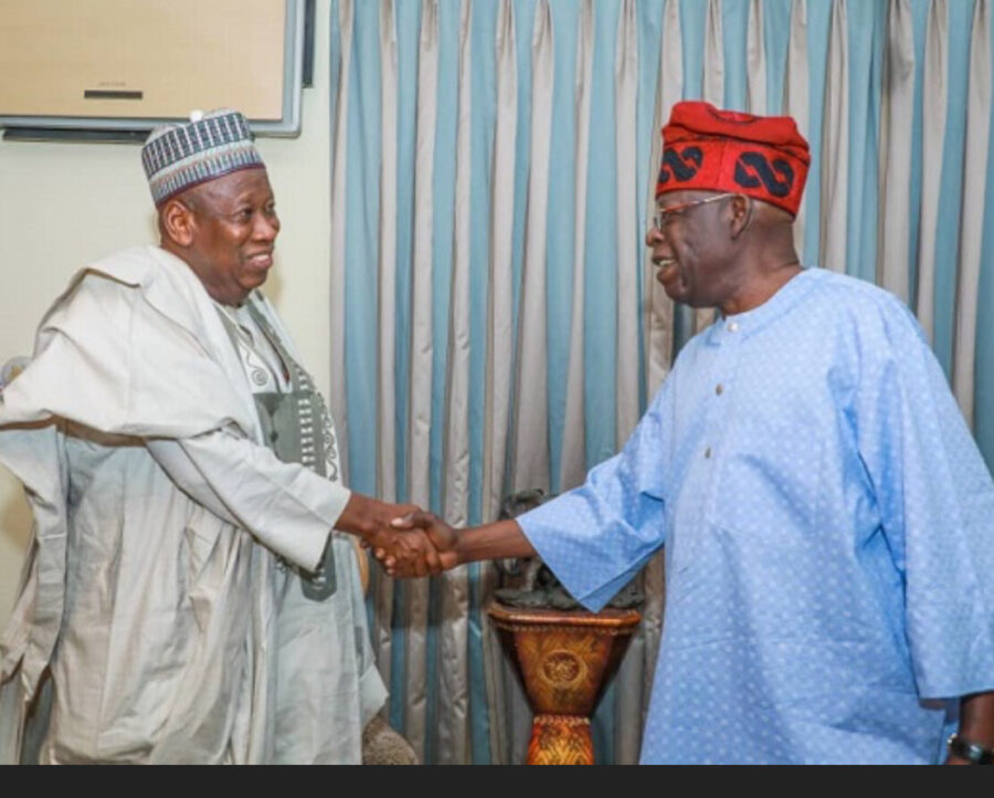 Read more about the article The Madness of Ganduje And Tinubu’s One Party Delusion