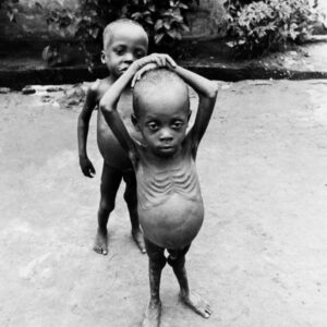 Elegy for the Fallen: What Did Two Million Igbos Die For in Biafra?