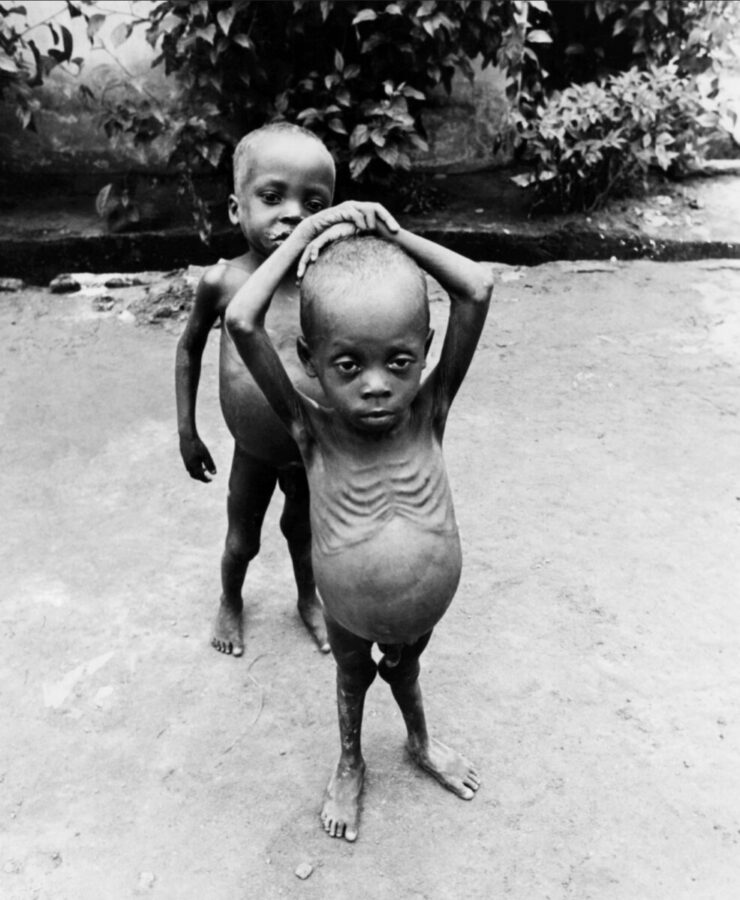 Read more about the article Elegy for the Fallen: What Did Two Million Igbos Die For in Biafra?