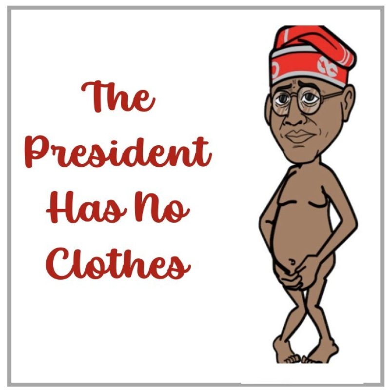 THE PRESIDENT HAS NO CLOTHES: WHY TINUBU MUST GO 